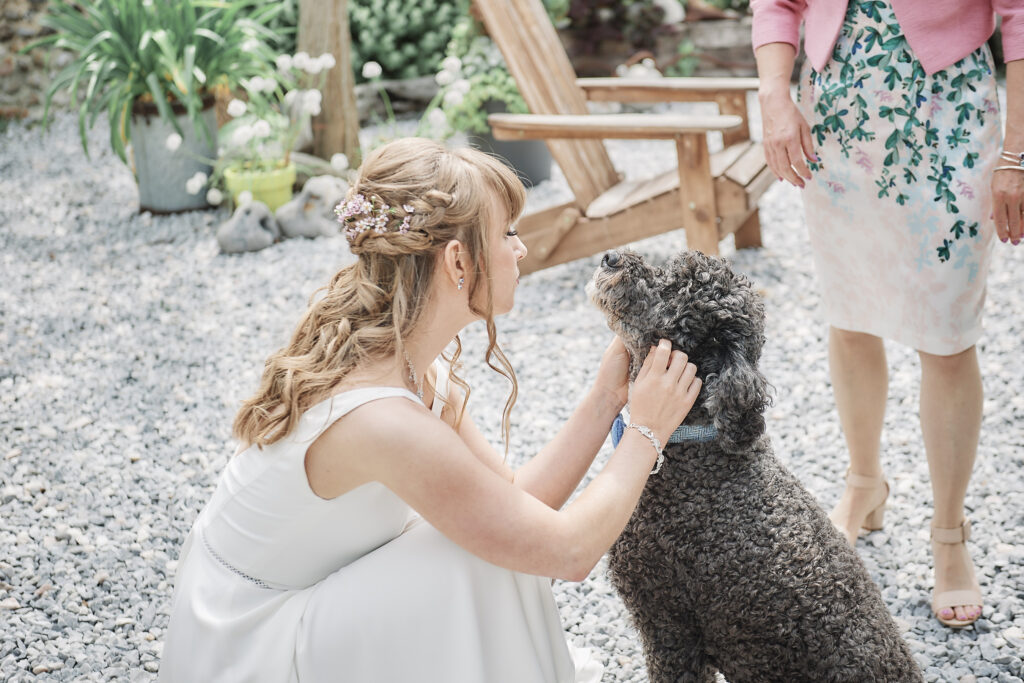 Dog at Wedding